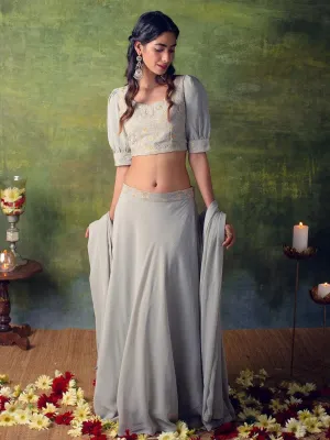 Grey Embroidered Georgette Lehenga Set